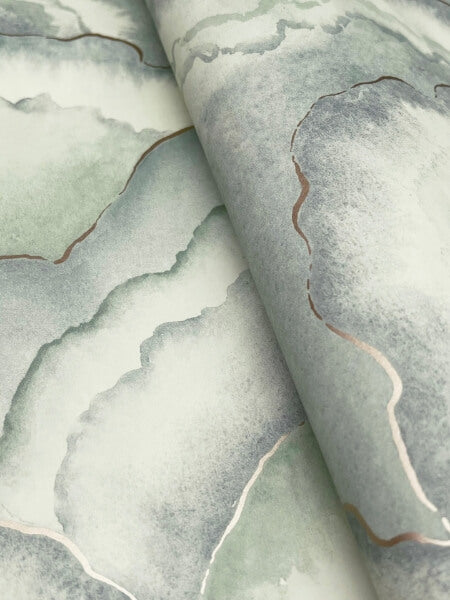Abalone Seaglass Fans Wallpaper
