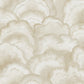 Abalone Sand Fans Wallpaper