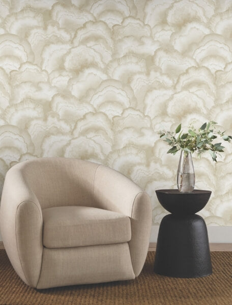 Abalone Sand Fans Wallpaper