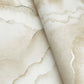 Abalone Sand Fans Wallpaper