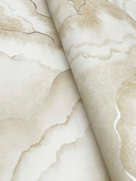 Abalone Sand Fans Wallpaper