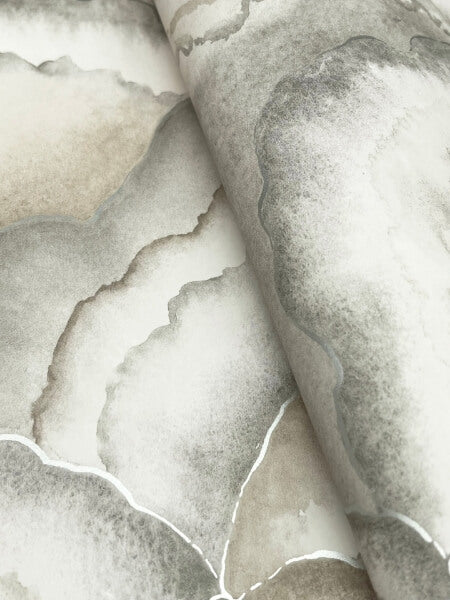 Abalone Smokey Fans Wallpaper