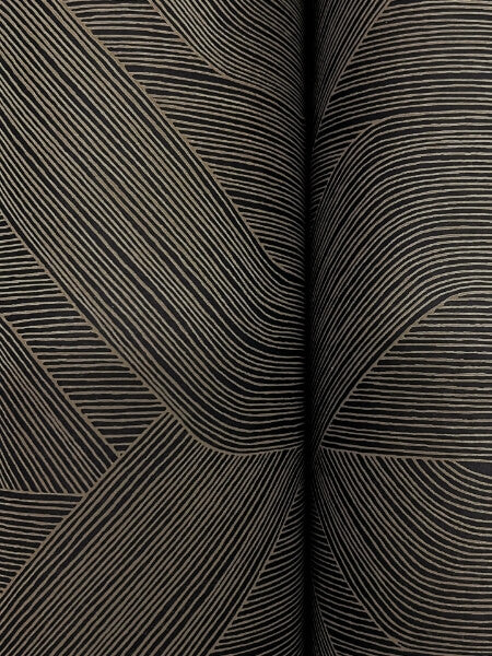 Fine Line Black Geometric Wallpaper