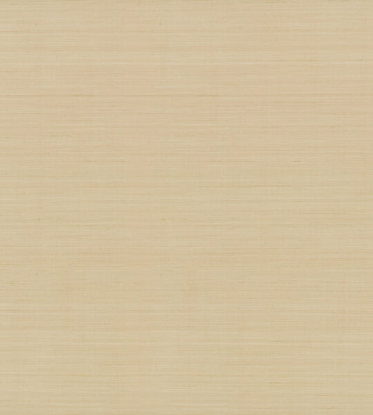 Quiet Vista Desert Wallpaper
