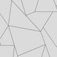 Nazca White & Silver Wallpaper