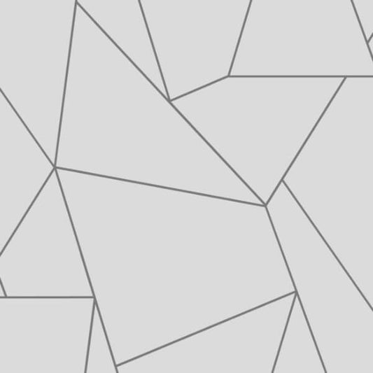 Nazca White & Silver Wallpaper
