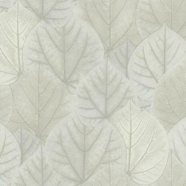 Leaf Concerto Grey Wallpaper