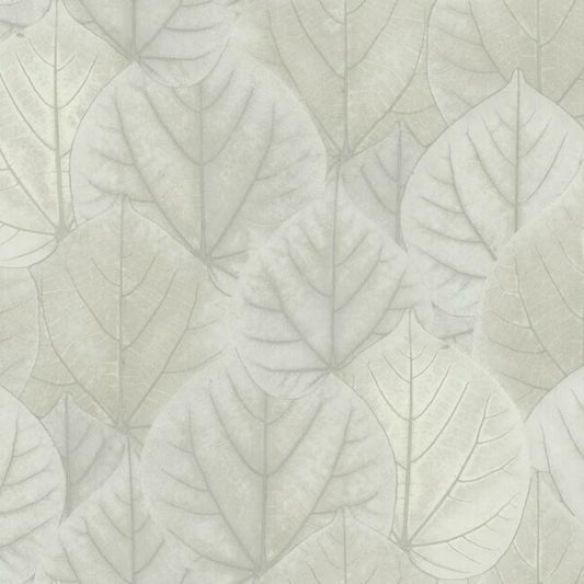 Leaf Concerto Grey Wallpaper
