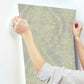 Charleston Damask Silver Wallpaper