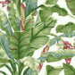 Banana Leaf White & Green Peel & Stick Wallpaper