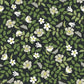 Primrose Off White & Black Peel & Stick Wallpaper