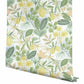 Amalfi Pink & Green Peel & Stick Wallpaper