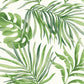 Paradise Palm Green Peel & Stick Wallpaper