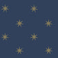Star Splendor Navy & Metallic Gold Peel & Stick Wallpaper