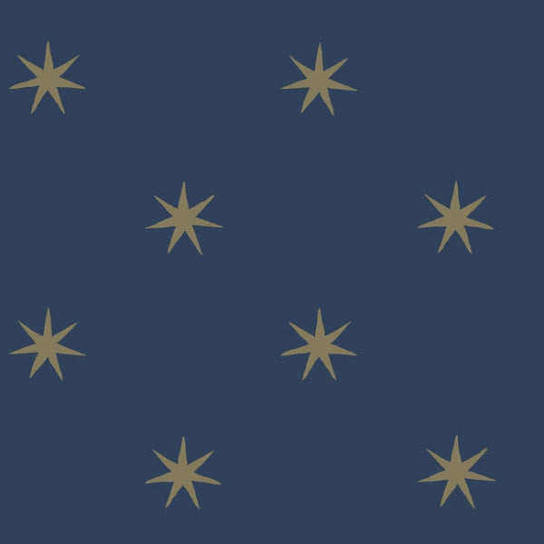 Star Splendor Navy & Metallic Gold Peel & Stick Wallpaper