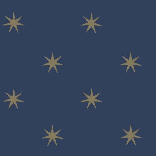 Star Splendor Navy & Metallic Gold Peel & Stick Wallpaper