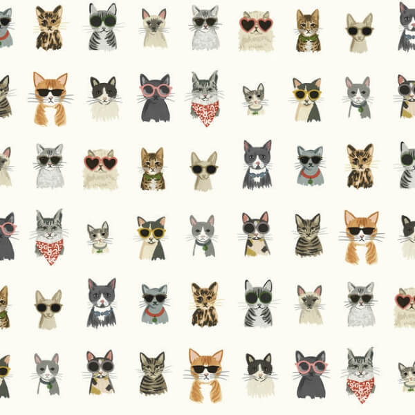 Cool Cats Multi White Peel & Stick Wallpaper