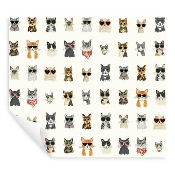Cool Cats Multi White Peel & Stick Wallpaper