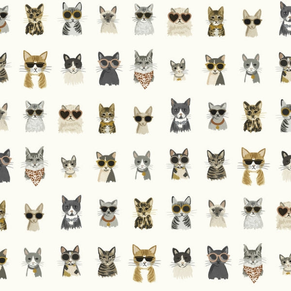 Cool Cats Grey & Gold Peel & Stick Wallpaper