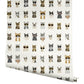 Cool Cats Grey & Gold Peel & Stick Wallpaper
