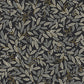 Willowberry Black Peel & Stick Wallpaper