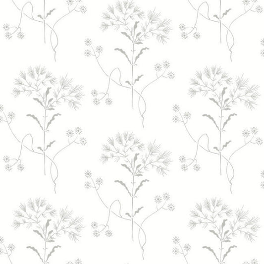 Wildflower Grey Wallpaper