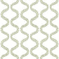 Florentine Green Vine Trellis Peel & Stick Wallpaper