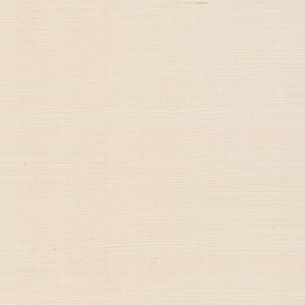 Natural Sisal Plaster Peel & Stick Grasscloth Wallpaper