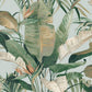 Tropical Cabana Spa Peel & Stick Wallpaper