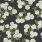 Hydrangea Black & White Peel & Stick Wallpaper