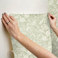 Pomegranate Pistachio Peel & Stick Wallpaper