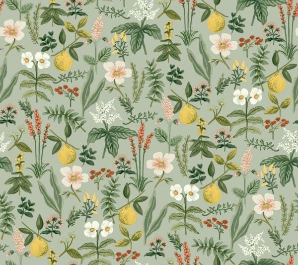 Herb Garden Sage Botanical Premium Peel + Stick Wallpaper