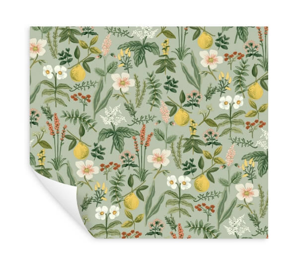 Herb Garden Sage Botanical Premium Peel + Stick Wallpaper
