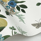 Flower Studies Blue Wallpaper