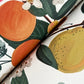 Flower Studies Rose Wallpaper