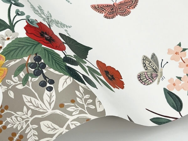 Flower Studies Rose Wallpaper