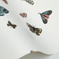 Butterfly House White Wallpaper