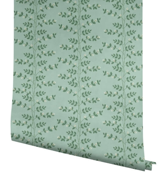 Climbing Vine Soft Teal Wallpaper