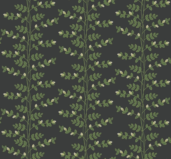Climbing Vine Black Wallpaper
