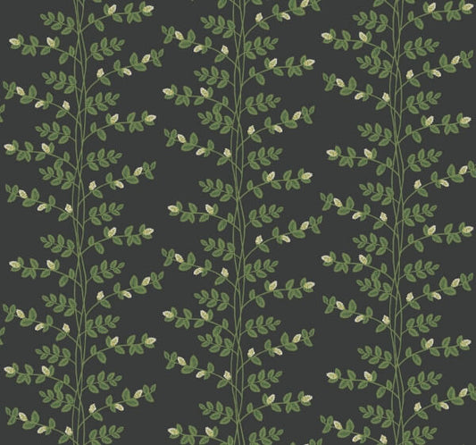 Climbing Vine Black Wallpaper