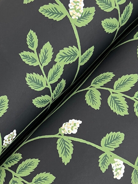 Climbing Vine Black Wallpaper