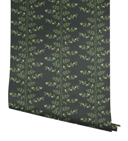 Climbing Vine Black Wallpaper