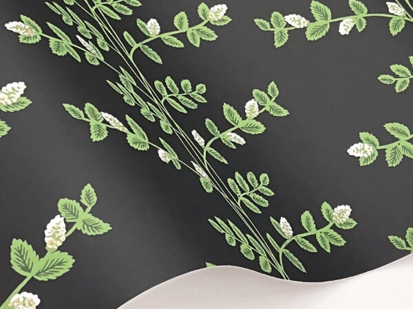 Climbing Vine Black Wallpaper