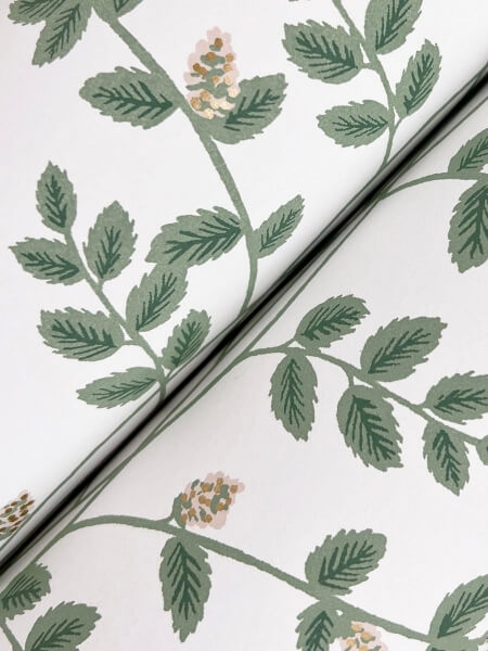 Climbing Vine Gold Wallpaper
