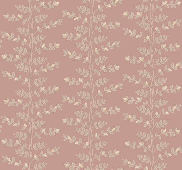 Climbing Vine Rose Wallpaper