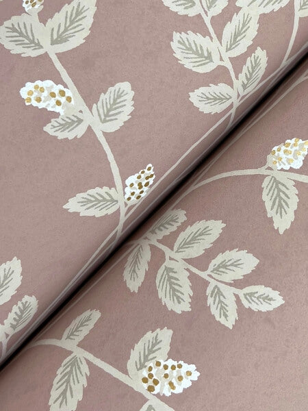 Climbing Vine Rose Wallpaper