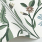 Aster White Wallpaper