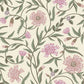 Aster Rose Wallpaper