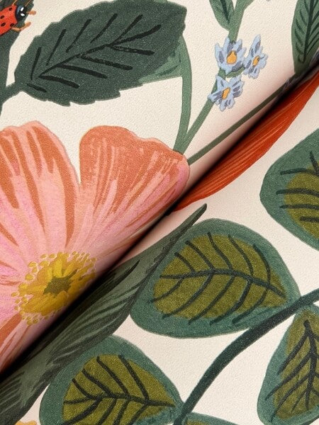 Blossom Cream Wallpaper