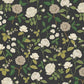 Roses Black Wallpaper